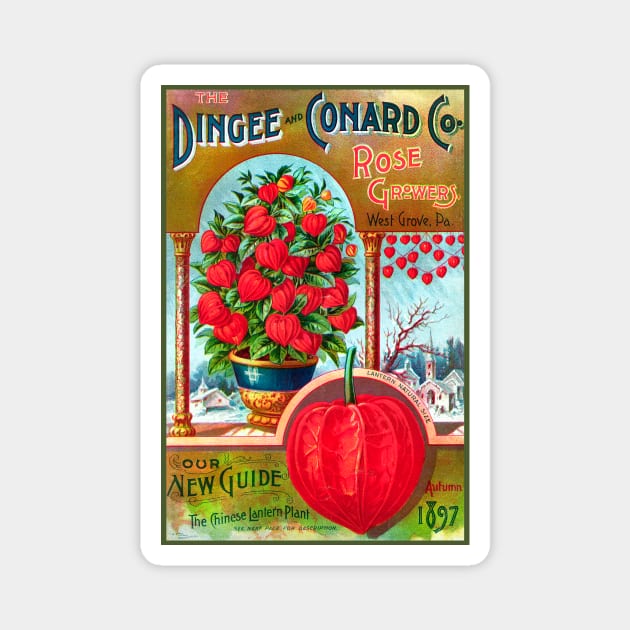 The Dingee and Conard Co. Rose Growers Catalogue, 1897 Magnet by WAITE-SMITH VINTAGE ART