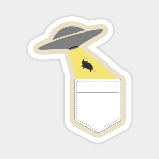 Alien Abduction Pocket Magnet