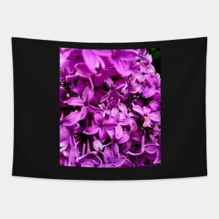 Purple Lilac Blossoms Tapestry