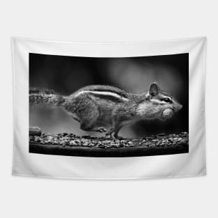 Chipmunk On The Run Tapestry