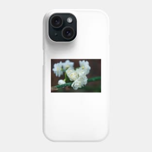 White Mountain Flowers in the Winter Rain Phone Case