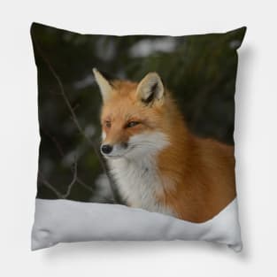 Red Fox Pillow