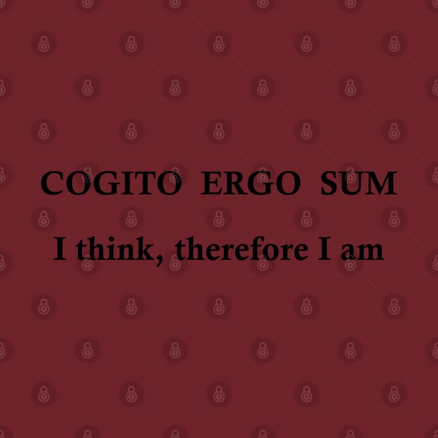 cogito ergo sum, i think therfore i am by omitay