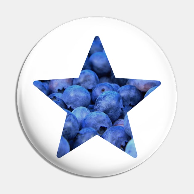 Blueberry Fruit Star Pin by NAGANIES