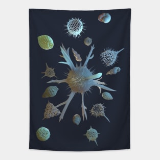 Radiolaria and Foraminifera Tapestry