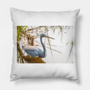 Tri-colored Heron Wading the Shallows Pillow