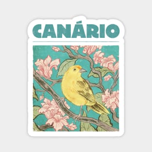 Canario Magnet