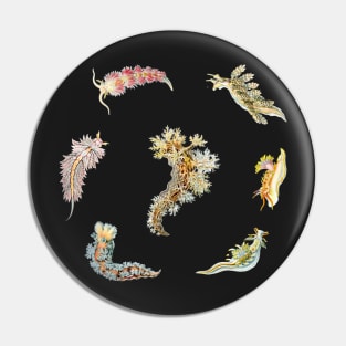 Nudibranch Set Classic Colors Pin