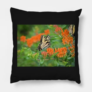 Yellow Swallowtail Butterfly Pillow