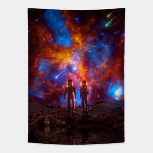 Discovery Tapestry