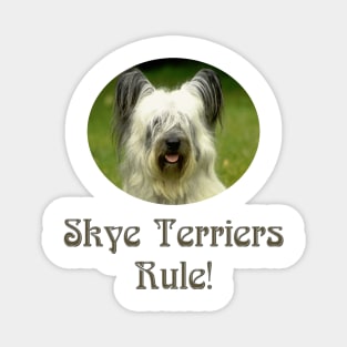 Skye Terriers Rule! Magnet