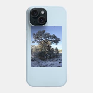 Tree in a snowy landscape Phone Case