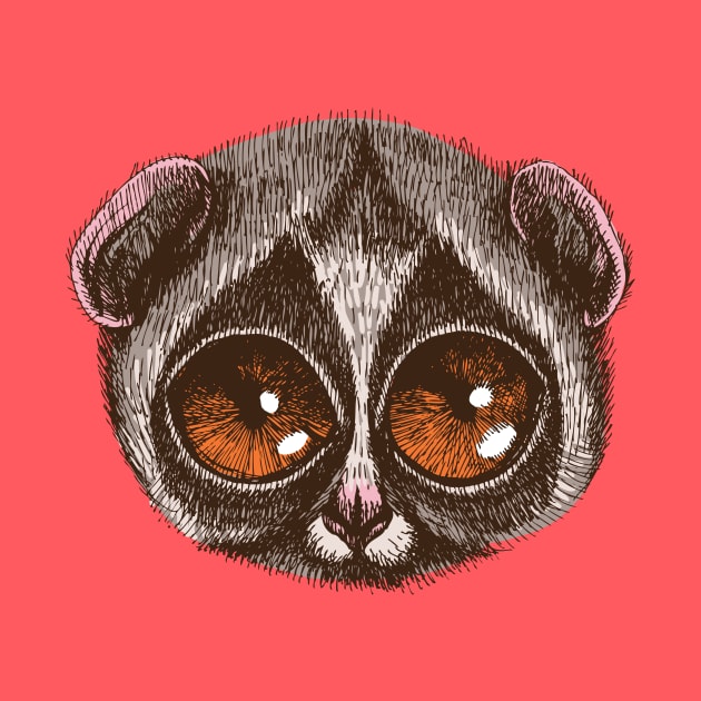 Slow Loris by AnimalsFashion