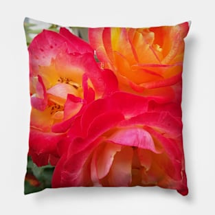 Roses in the garden Pillow