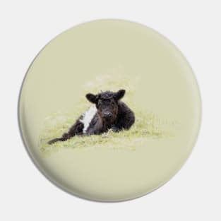 Belted Galloway Calf Pin