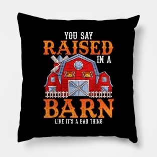 You Say Raised In A Barn Like It's A Bad Thing Pillow