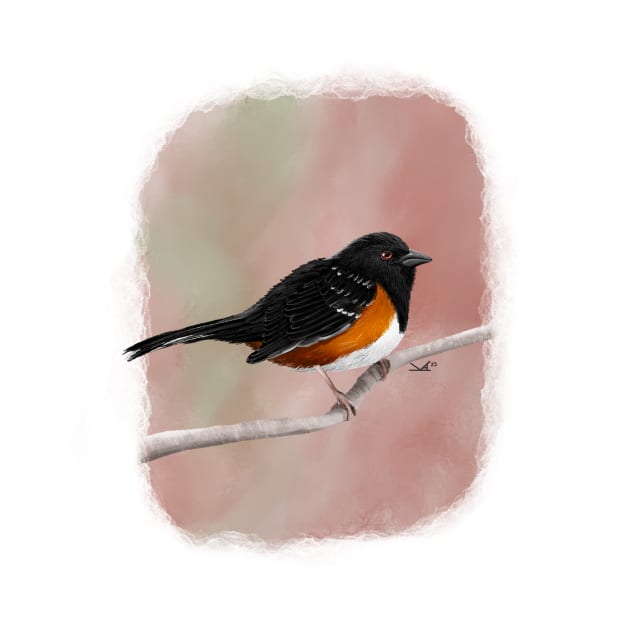 Spotted Towhee by FernheartDesign