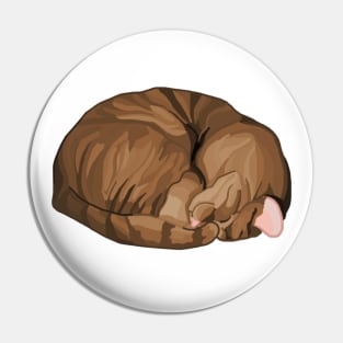 Sleeping Curled Brown Tabby Cat Pin