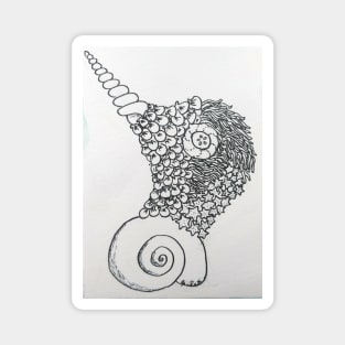 Hummingbird shells Magnet