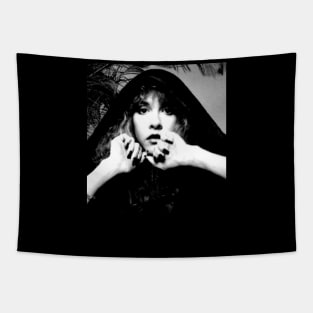 Stevie Nicks Vintage Rock Music 2024 Tapestry