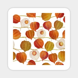 Golden berry flowers watercolor print. Autumn Physalis plants. Cape gooseberry buds. Chinese lantern. Magnet