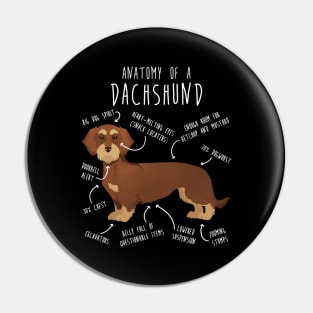 Red Wirehaired Dachshund Dog Anatomy Pin