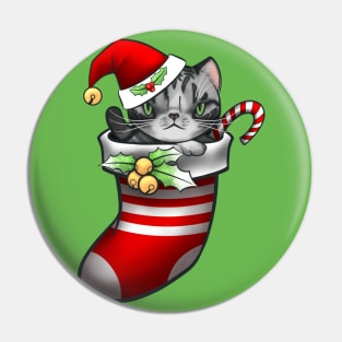 Vanilla the silver tabby cat in a stocking for Christmas Pin