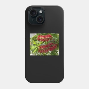 Red Cone Flower 1 Phone Case