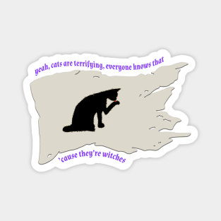 Cats are Witches, Duh Magnet