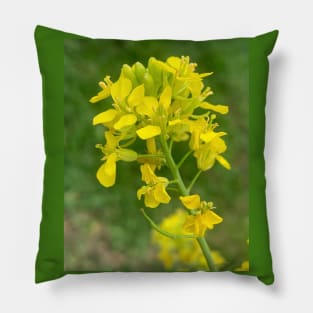 Yellow lampshade flower Pillow