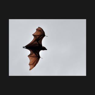 Australie - Cairns, Flying Fox T-Shirt