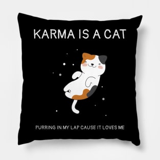 Karma is Cat Funny Pillow