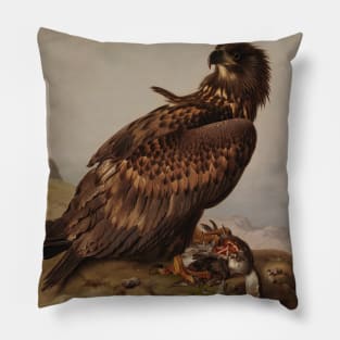 White-Tailed Eagle With Its Prey by Ferdinand von Wright Pillow