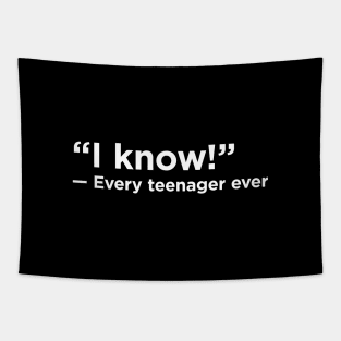 I Know! - Every Teenager Ever Tapestry