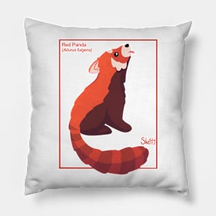 Red Panda Science Pillow