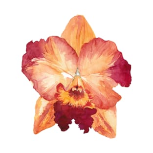Cattleya Orchid Peach T-Shirt