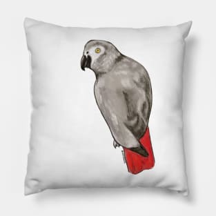 African Grey Pillow