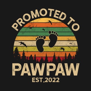 Promoted To PawPaw Est 2022 Pregnancy Announcement Vintage T-Shirt