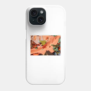 Paint Flakes Macro Phone Case