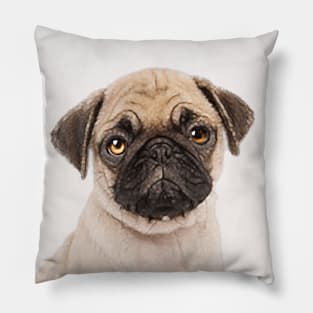 Puggly the Pug Dog Pillow