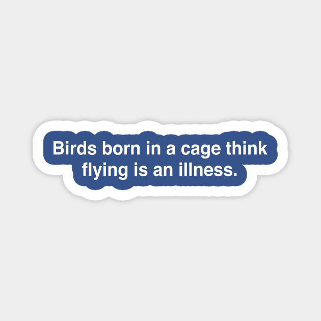 Birds Born in a Cage Magnet by TheCosmicTradingPost