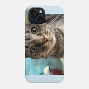 Close Up Kitty Phone Case