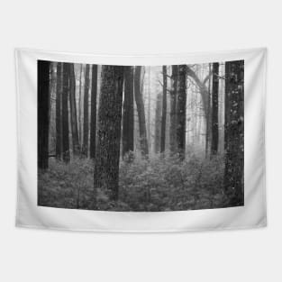 black and white forest with trees in fog Tapestry