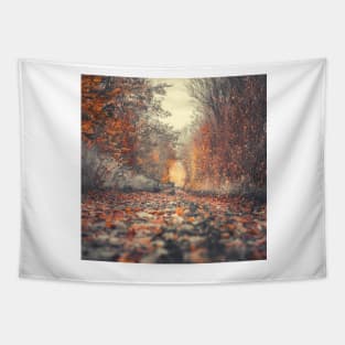 Forest Photography, Forest Pathways, Scandinavian, Nordic, Nature Photography Tapestry