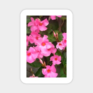 Pink Posies Magnet