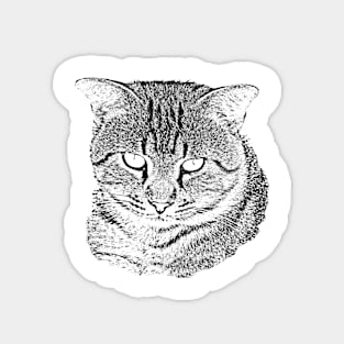 Tabby Cat Sketch Magnet