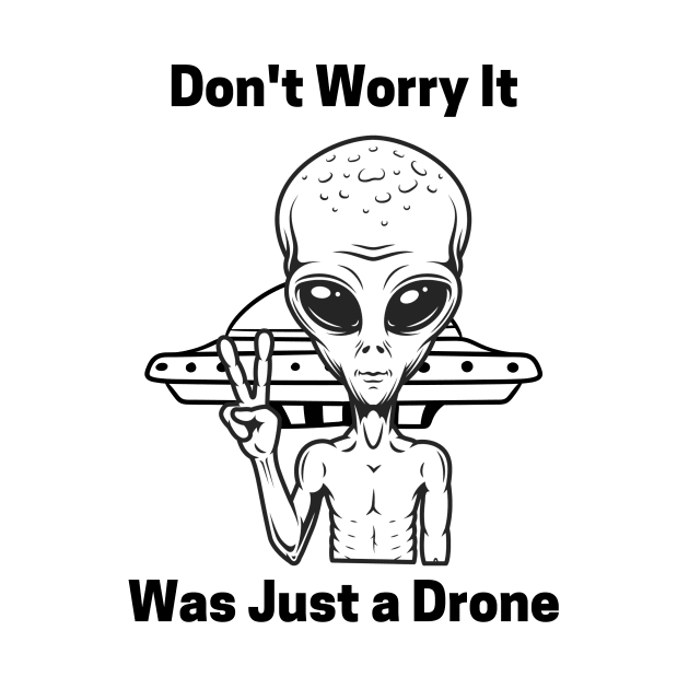 Don't Worry It Was Just a Drone by Daniel99K