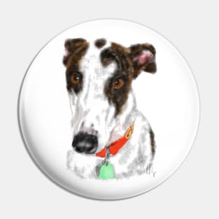 A sweet greyhound pooch Pin