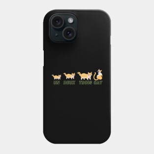 Un Deux Trois Cat (Cute Cat Shirt Wordplay) Phone Case