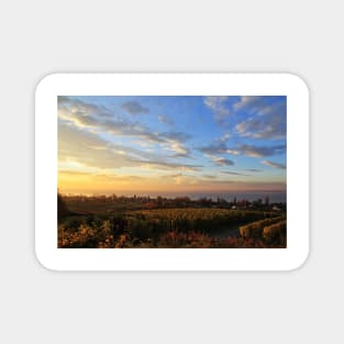 Sunrise over Grape Orchards and Immenstaad - Lake Constance Magnet